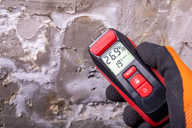 Best Office Mold Removal Services  in Allegan, MI